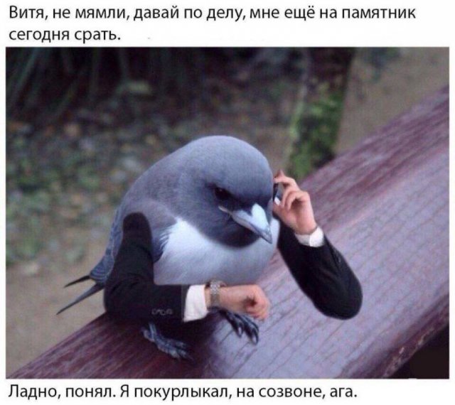 Смешные мемы - 07.07.2025