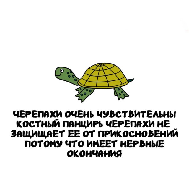 Интересные факты на все случаи жизни