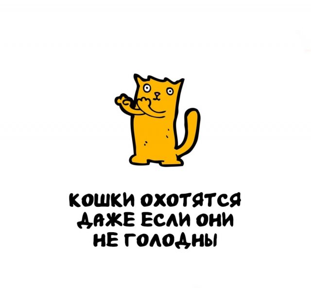 Интересные факты на все случаи жизни