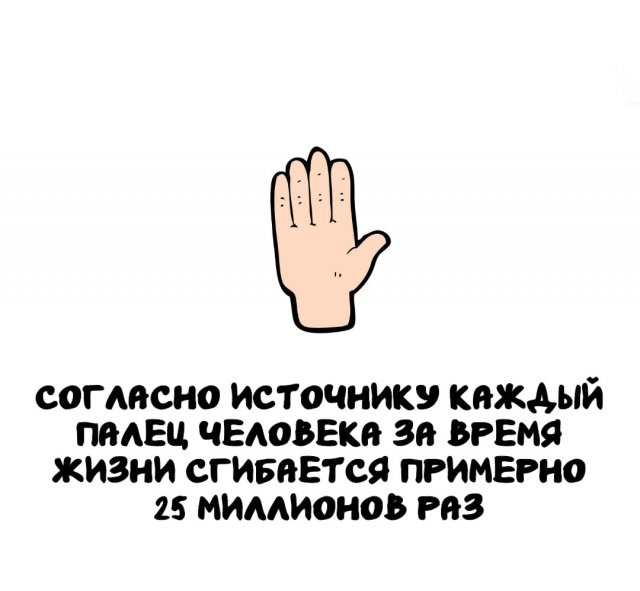 Интересные факты на все случаи жизни