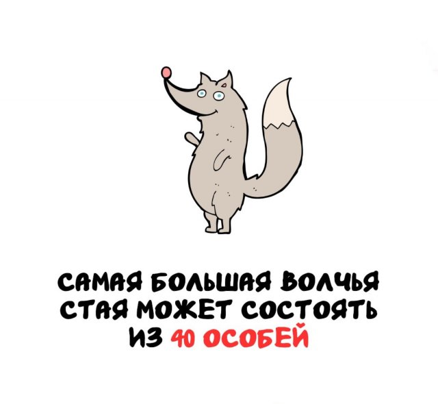Интересные факты на все случаи жизни