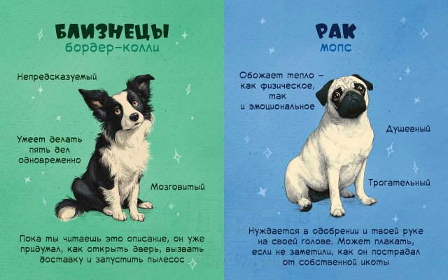 Астролог рассказал, какая вы собака по знаку зодиака