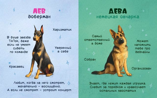 Астролог рассказал, какая вы собака по знаку зодиака