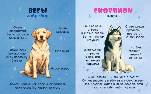 Астролог рассказал, какая вы собака по знаку зодиака