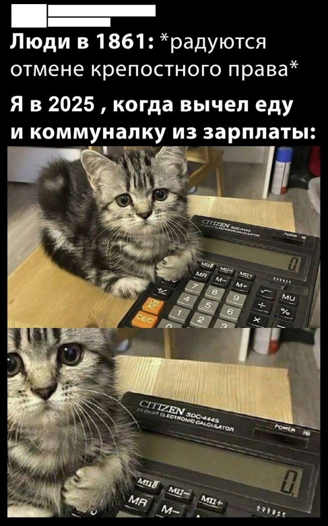 Лучшие шутки и мемы из Сети - 07.07.2025