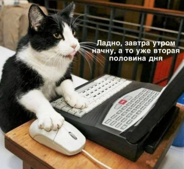 Лучшие шутки и мемы из Сети - 07.07.2025