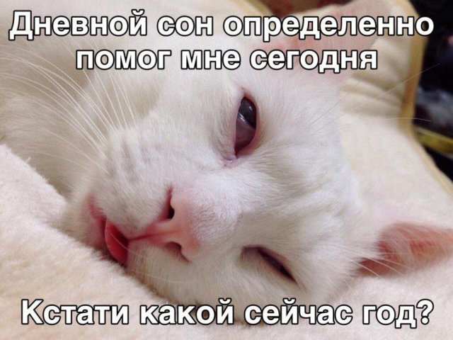 Лучшие шутки и мемы из Сети - 07.07.2025
