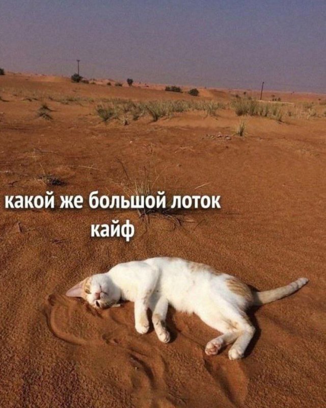 Смешные мемы - 08.07.2025