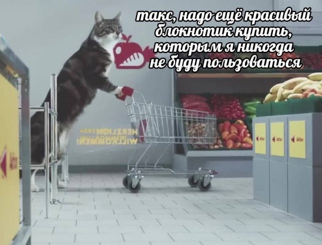 Смешные мемы - 08.07.2025