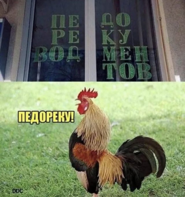 Смешные мемы - 08.07.2025