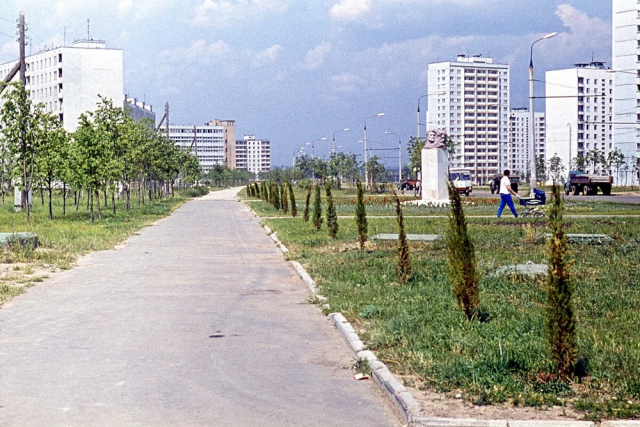 Улица 26 Бакинских комиссаров в Тропарёво-Никулино и только-только высаженные деревья Улица 26 Бакинских комиссаров в Тропарёво-Никулино и только-только высаженные деревья