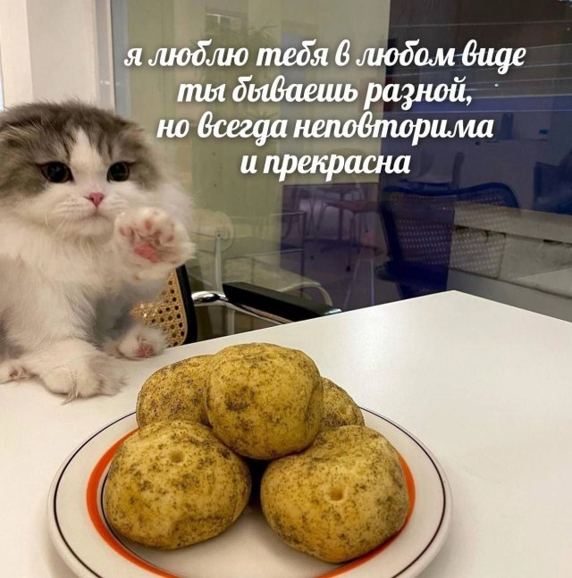 Лучшие шутки и мемы из Сети - 08.07.2025