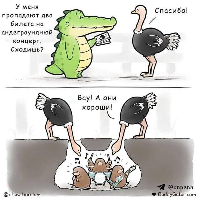Лучшие шутки и мемы из Сети - 08.07.2025