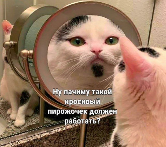Лучшие шутки и мемы из Сети - 08.07.2025