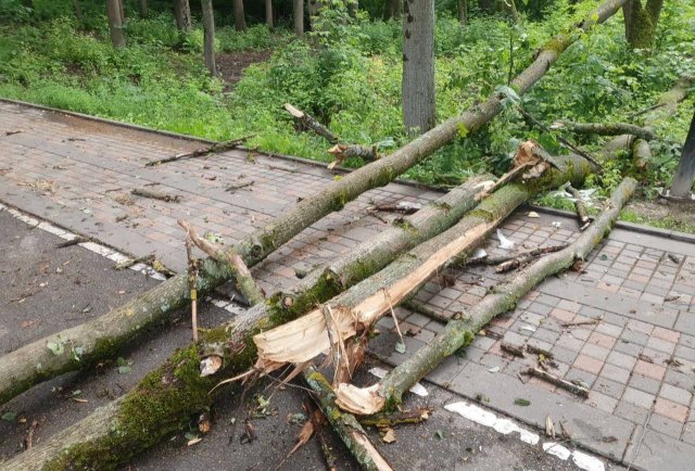 Буйство стихии в Подмосковье