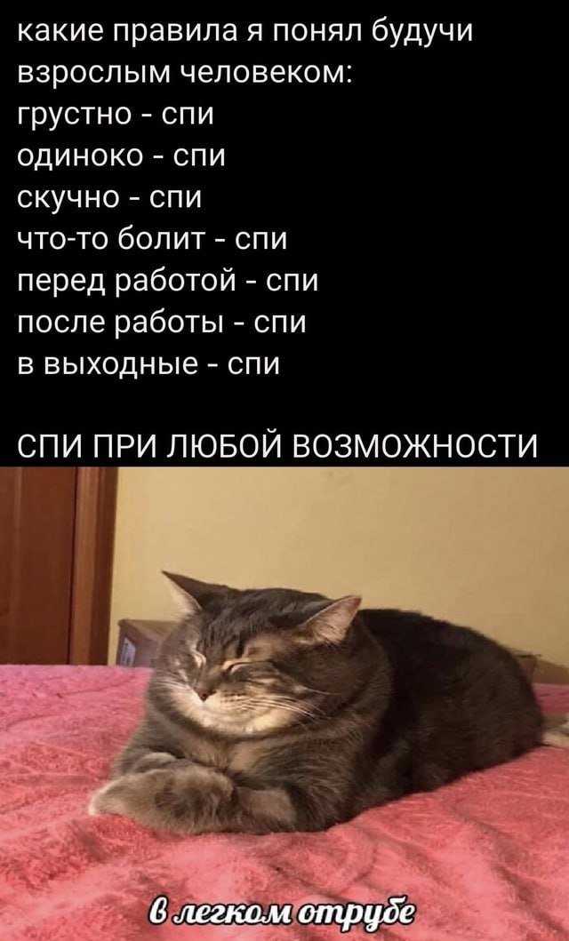 Смешные мемы - 09.07.2025