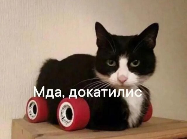 Смешные мемы - 09.07.2025