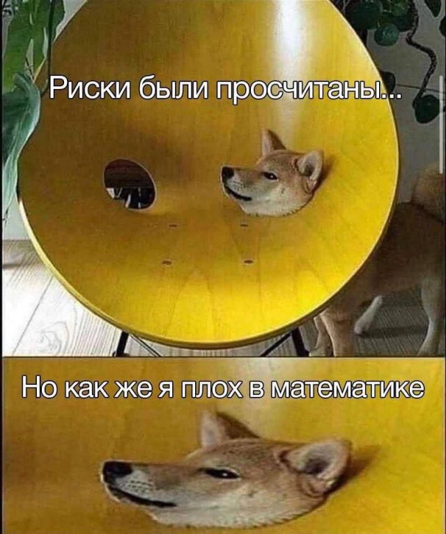Смешные мемы - 09.07.2025