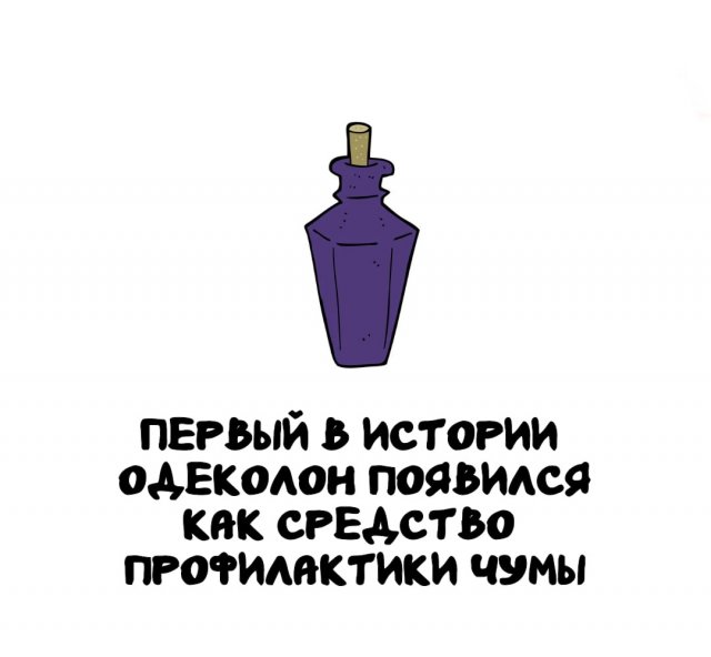 Интересные факты на все случаи жизни