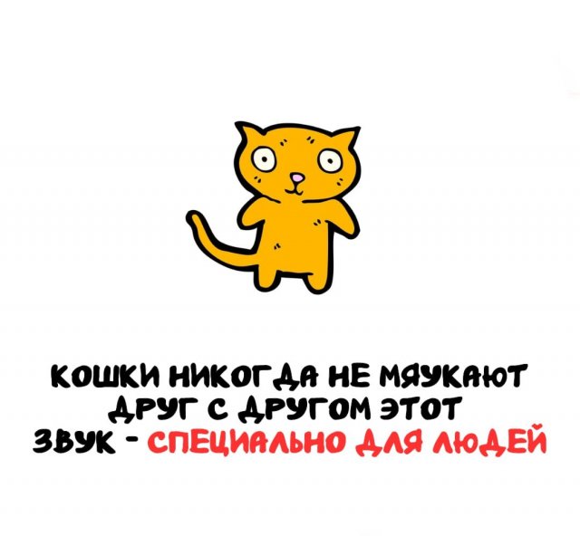 Интересные факты на все случаи жизни