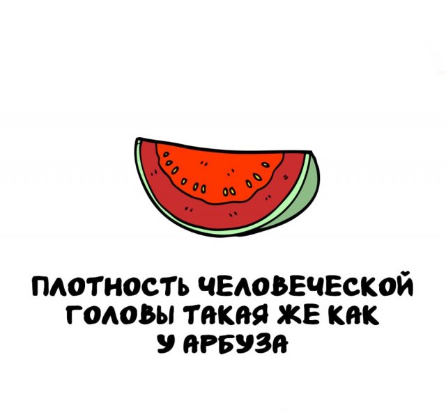 Интересные факты на все случаи жизни