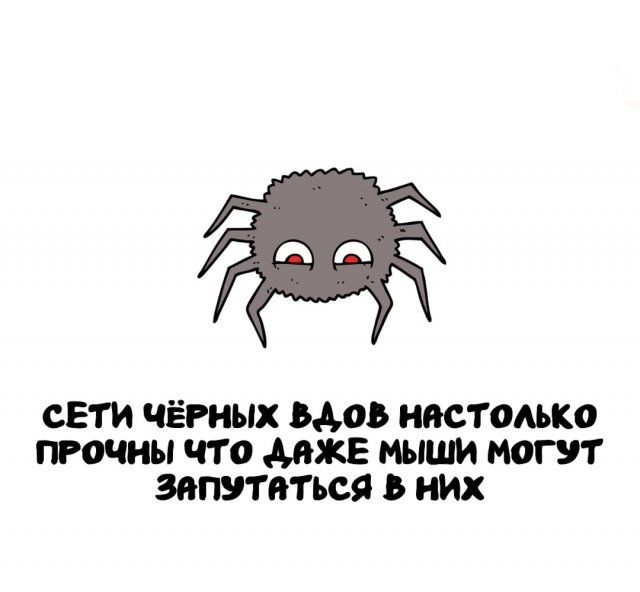 Интересные факты на все случаи жизни