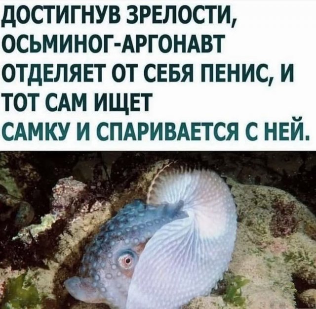 Смешные картинки - 09.07.2025