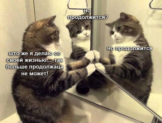 Смешные картинки - 09.07.2025