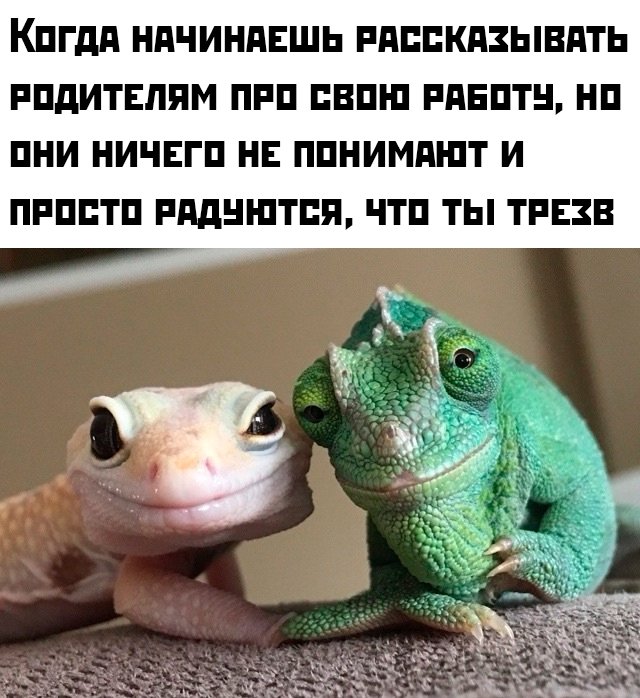 Подборка картинок. Вечерний выпуск - 09.07.2025