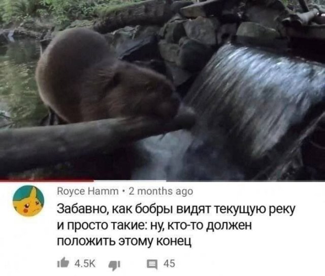 Лучшие шутки и мемы из Сети - 09.07.2025