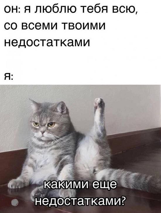 Лучшие шутки и мемы из Сети - 09.07.2025