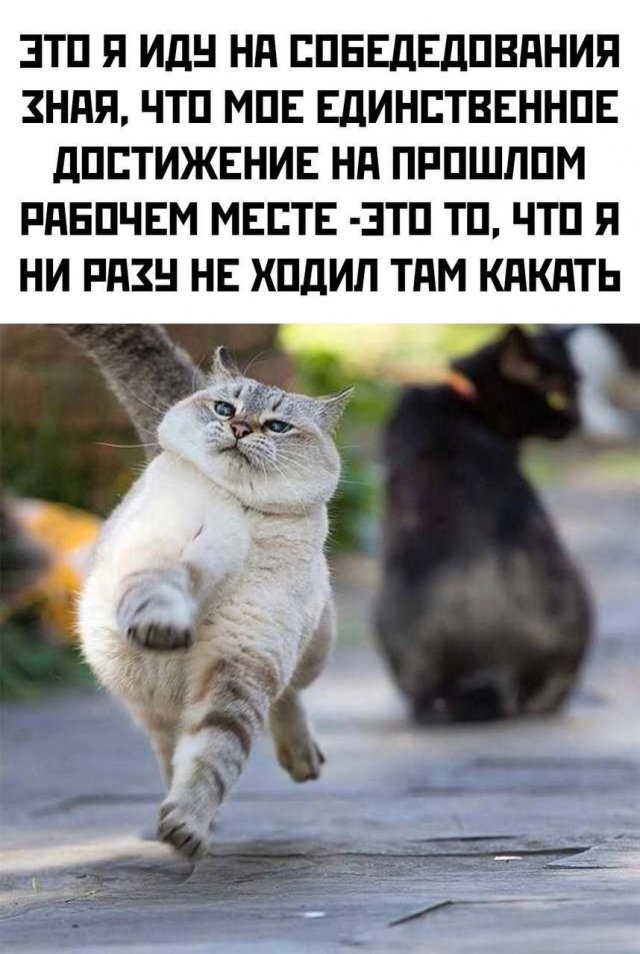 Лучшие шутки и мемы из Сети - 09.07.2025