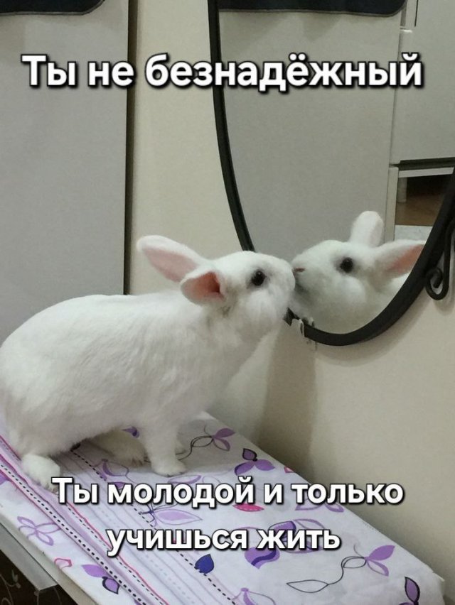 Лучшие шутки и мемы из Сети - 09.07.2025