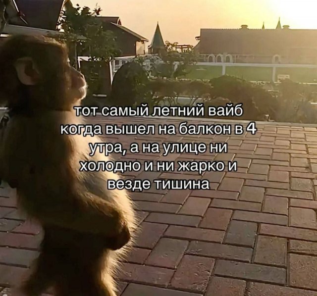 Смешные мемы - 10.07.2025