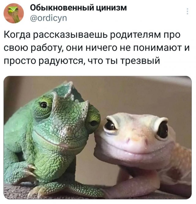 Подборка забавных твитов обо всем
