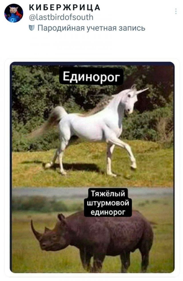 Подборка забавных твитов обо всем
