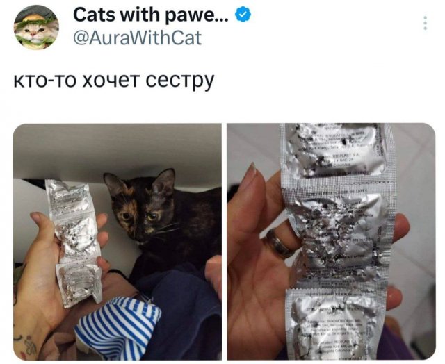 Подборка забавных твитов обо всем