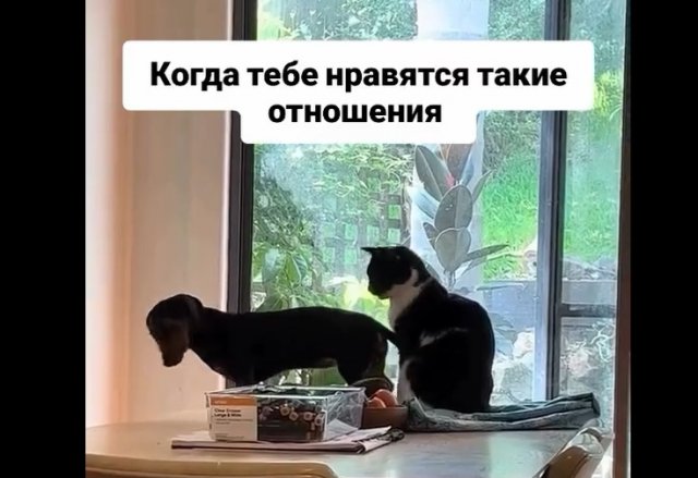 Абьюзиные отношения во всей красе