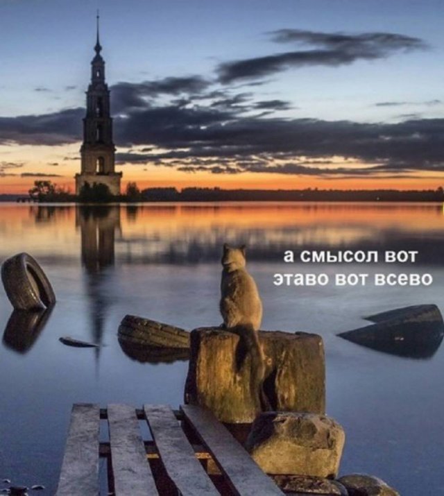 Лучшие шутки и мемы из Сети - 10.07.2025