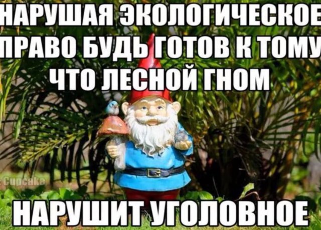 Лучшие шутки и мемы из Сети - 10.07.2025