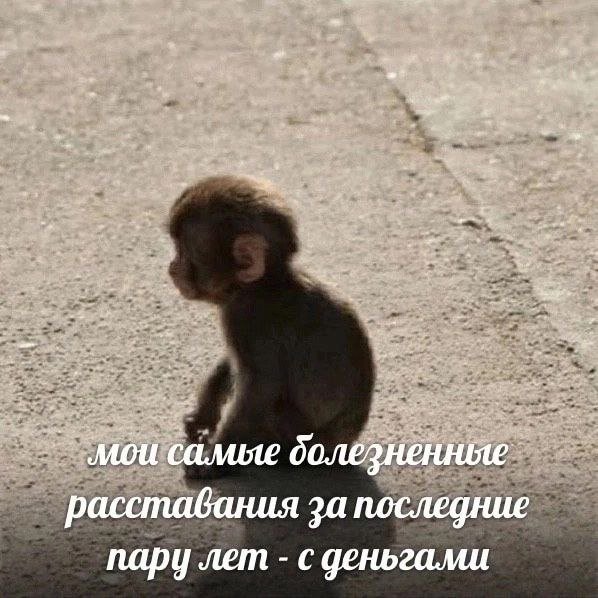 Лучшие шутки и мемы из Сети - 10.07.2025