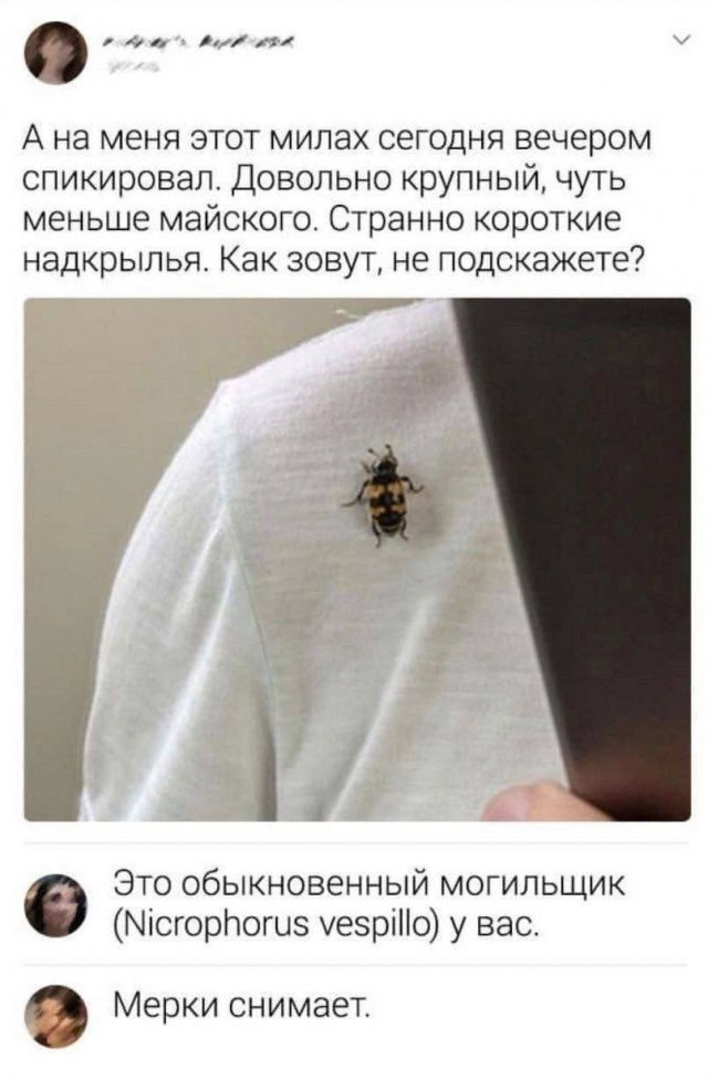 Лучшие шутки и мемы из Сети - 10.07.2025
