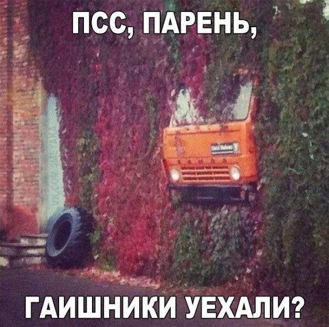 Лучшие шутки и мемы из Сети - 10.07.2025