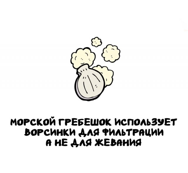 Интересные факты на все случаи жизни