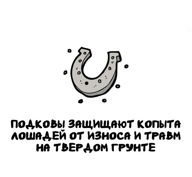 Интересные факты на все случаи жизни