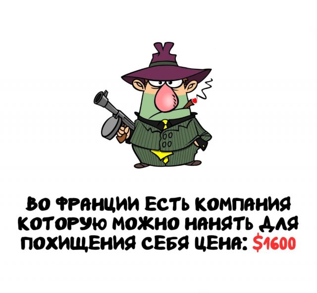 Интересные факты на все случаи жизни Интересные факты на все случаи жизни