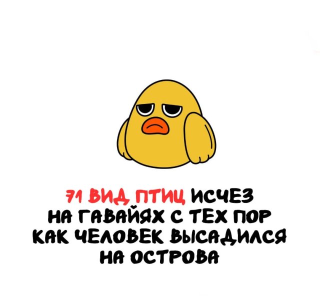 Интересные факты на все случаи жизни