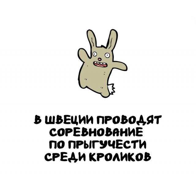 Интересные факты на все случаи жизни
