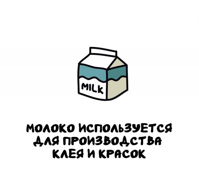 Интересные факты на все случаи жизни