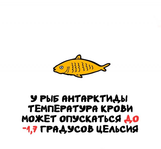 Интересные факты на все случаи жизни